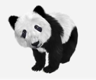 Panda algoritmi